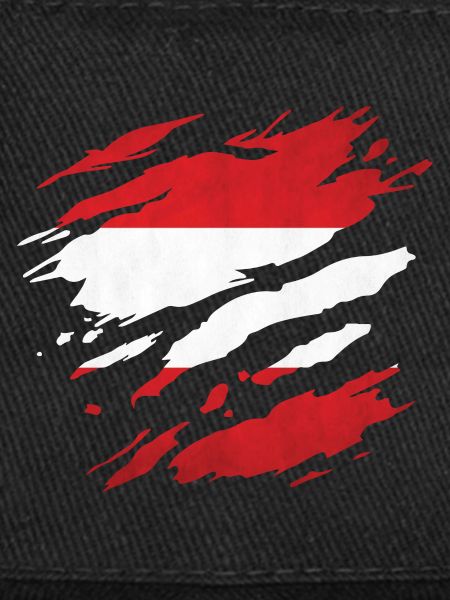 Autriche - Drapeau national, rayures, fissures