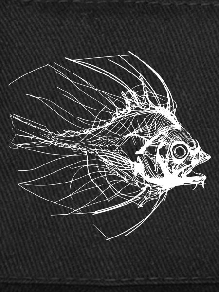 Fish Sketch