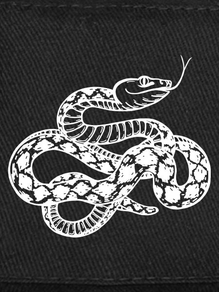 Snake, white