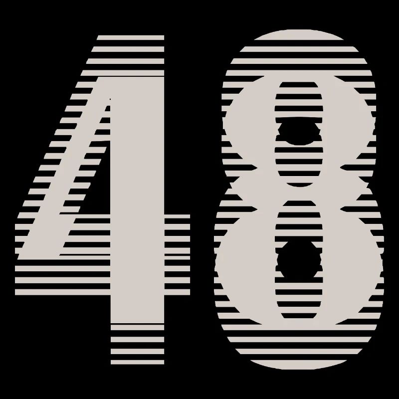 Numéro de course 48 – Passion du sport automobile