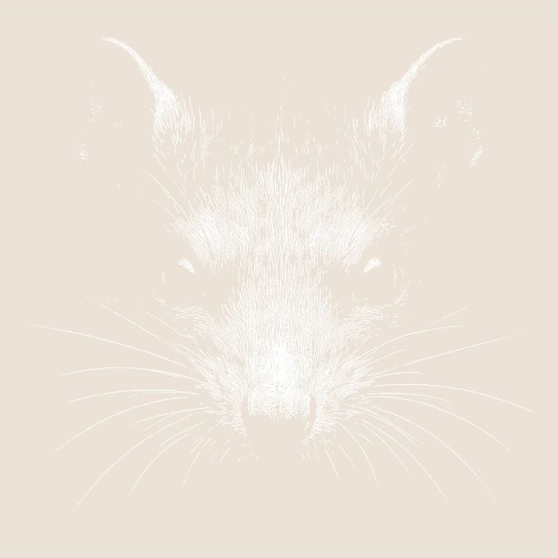 Ratte