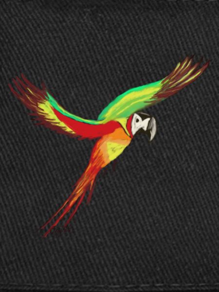 Parrot vs. Papa- Guy