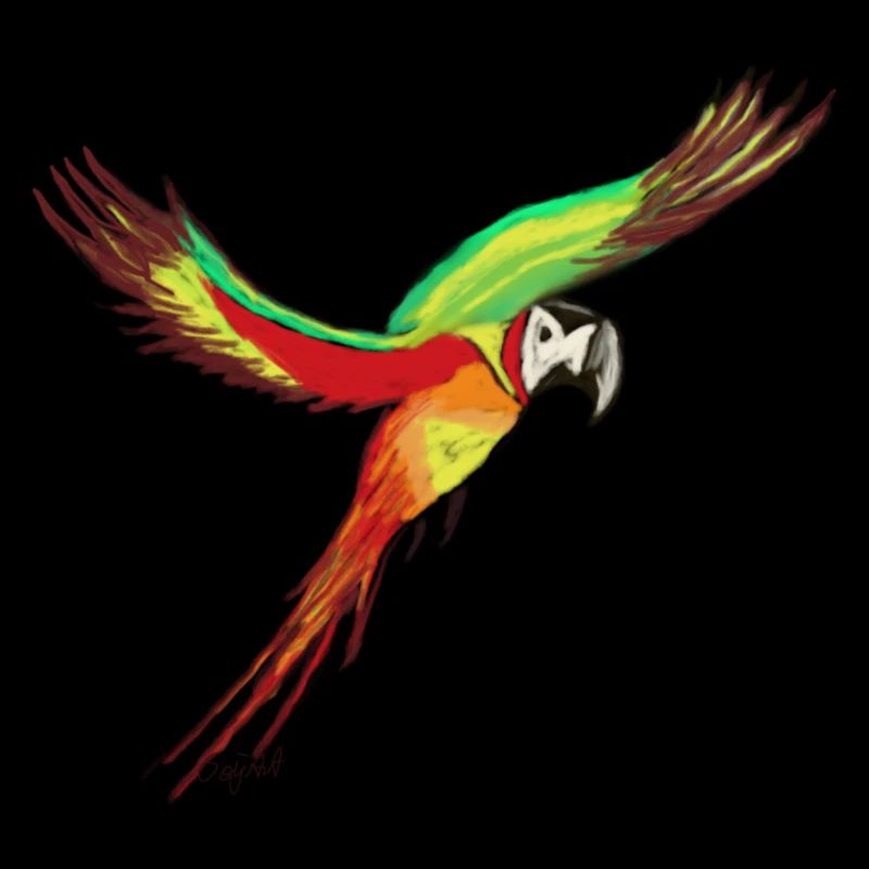 Parrot vs. Papa- Guy