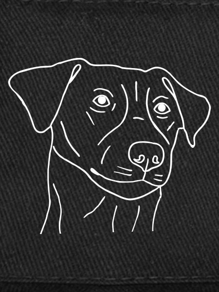 Jack Russell Terrier