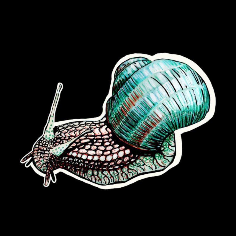 Escargot avec coquille d’escargot