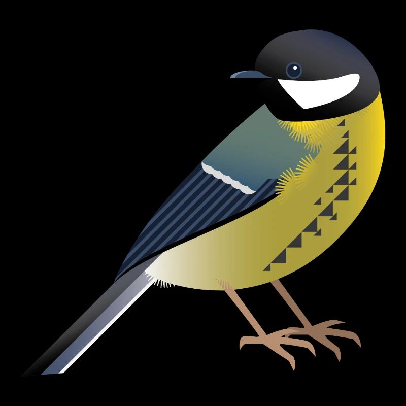 Grand Oiseau Graphique / Design / Illustration