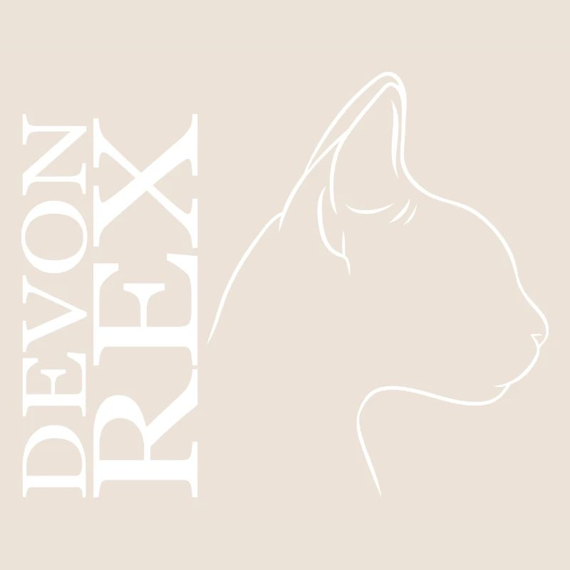 Devon Rex Profil Chat Chat Wilsigns