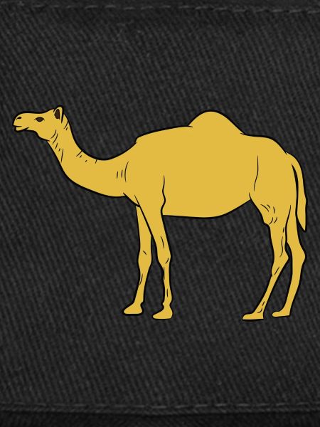 Camel / Dromedary - side view