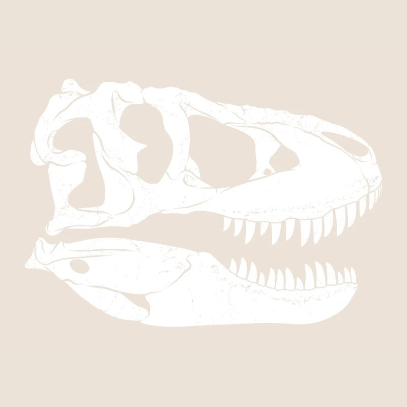 Fossile de Tarbosaurus