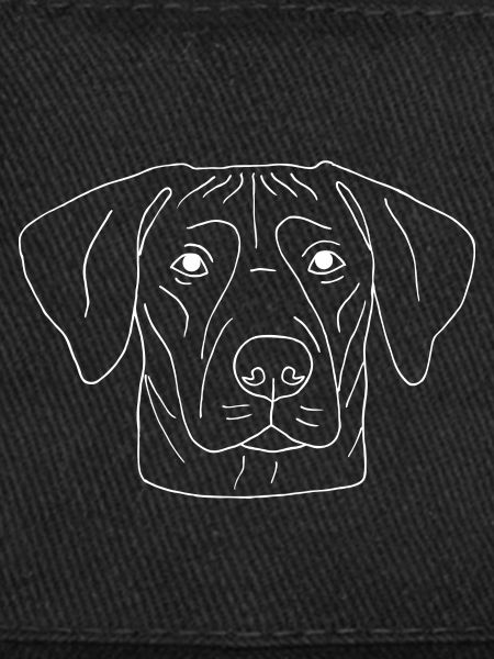 Rhodesian Ridgeback