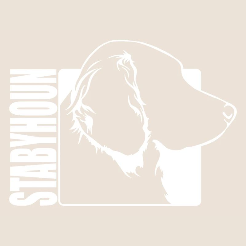 Stabyhoun Profil Chiens Chien Wilsigns