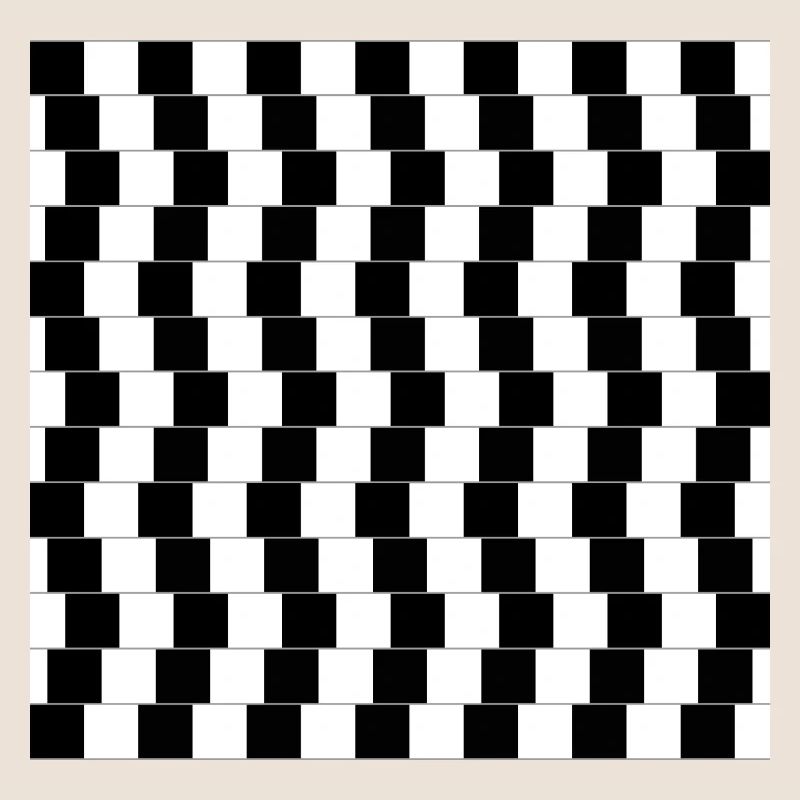 Illusion optique