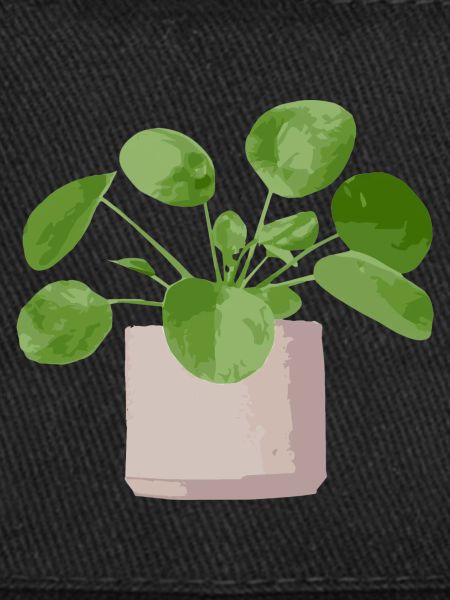 pilea