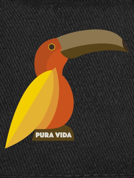 PURA VIDA