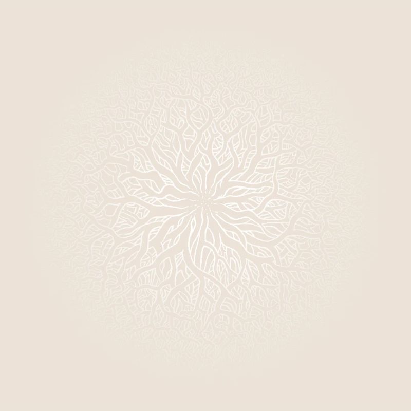 Root circle white