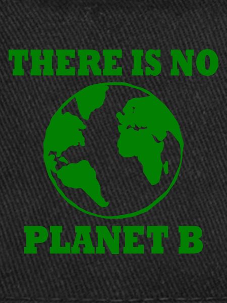 There is no planet B