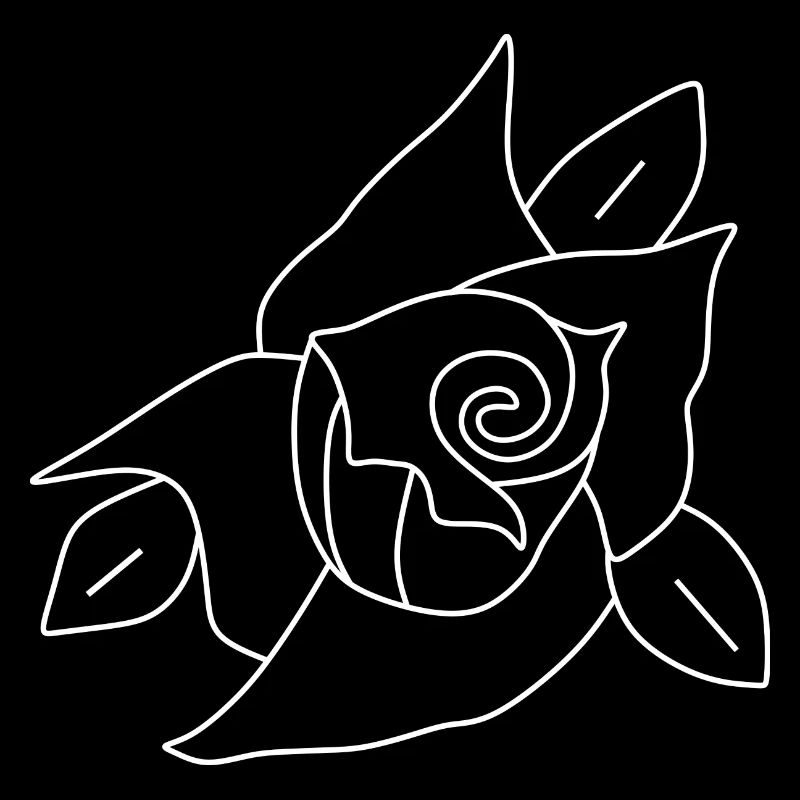 Fleur, Blanc, Fleur Blanche