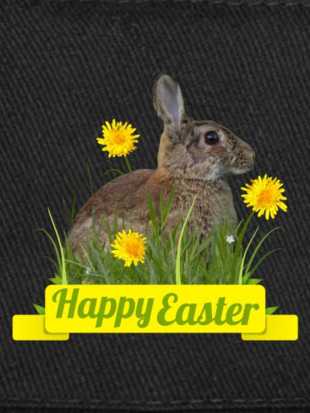 Happy Easter rabbit cony