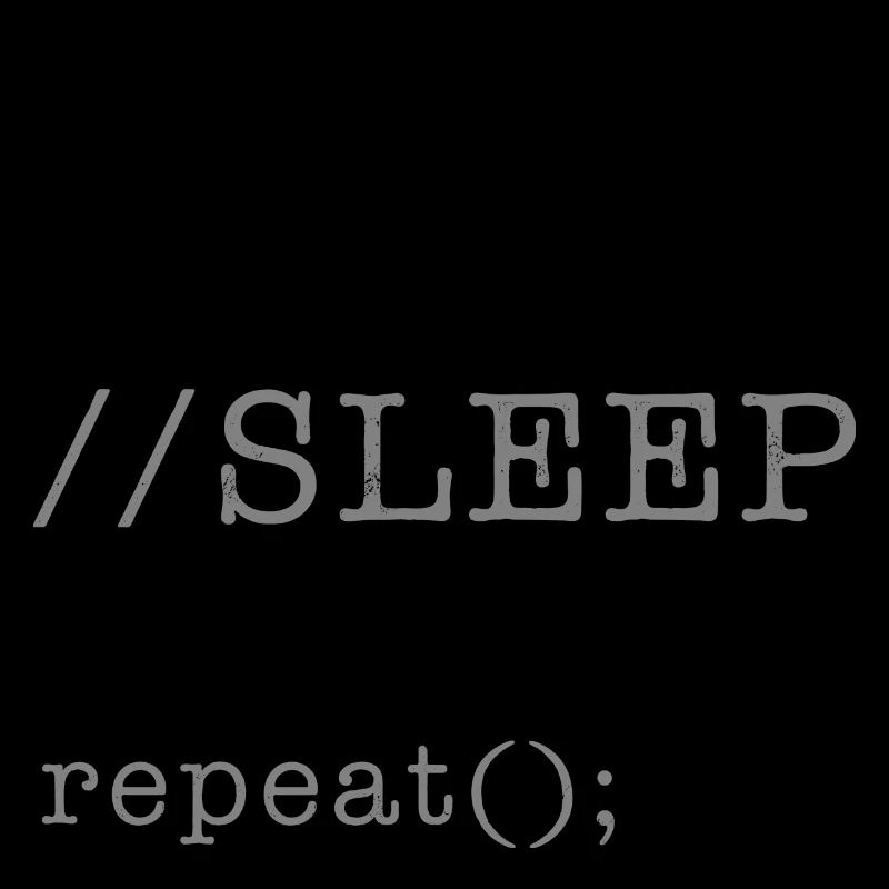 Informatique Python Programmeur Manger Code Sommeil
