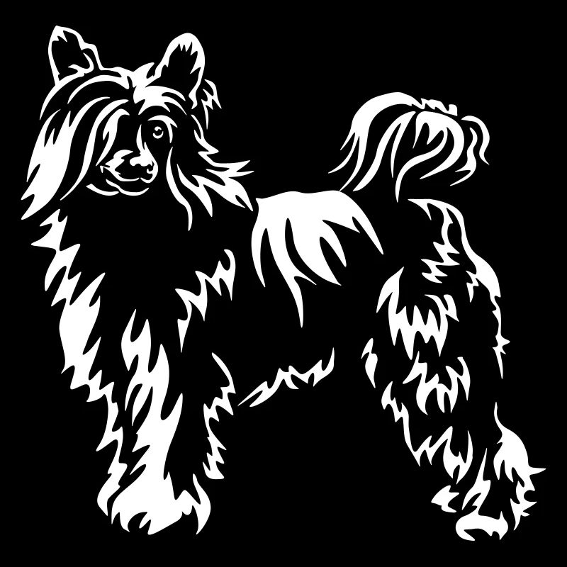 Chinese Crested Dog "Black Edition"
