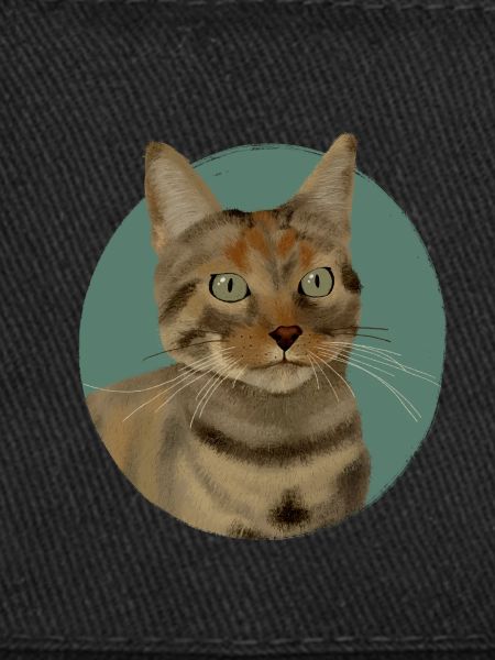Brown Tabby Cat