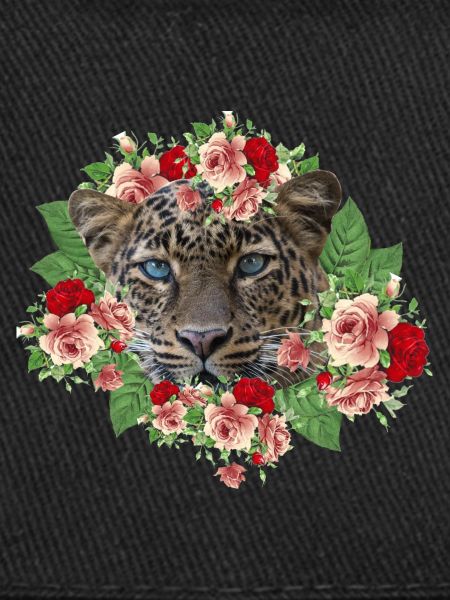 Leo Le Chat
