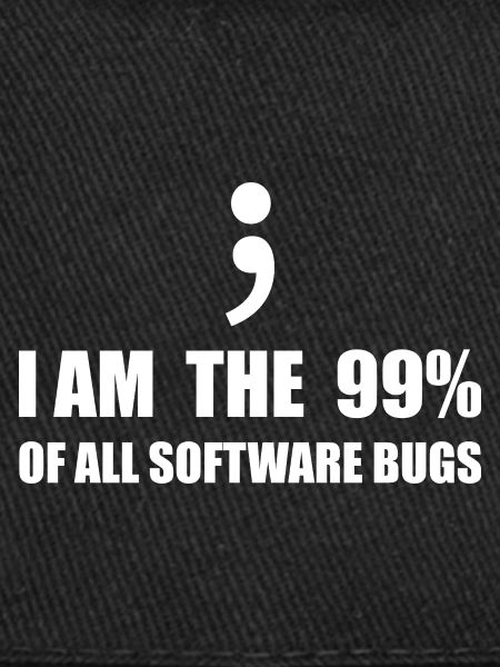 Informatiker, Programmierer