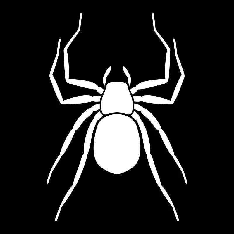 Spinne