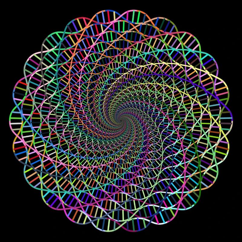 DNA
