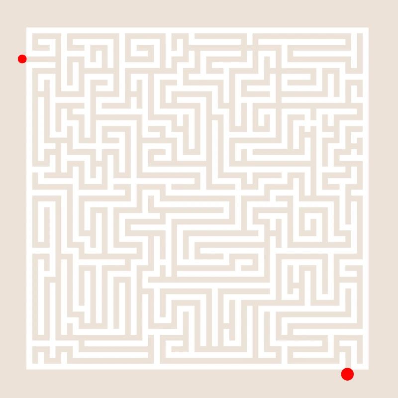 Maze puzzle