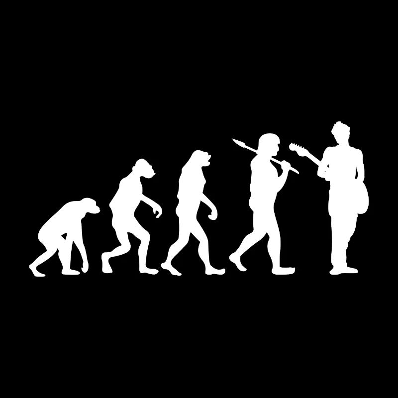 Evolution Guitare Cadeau Musique Guitariste