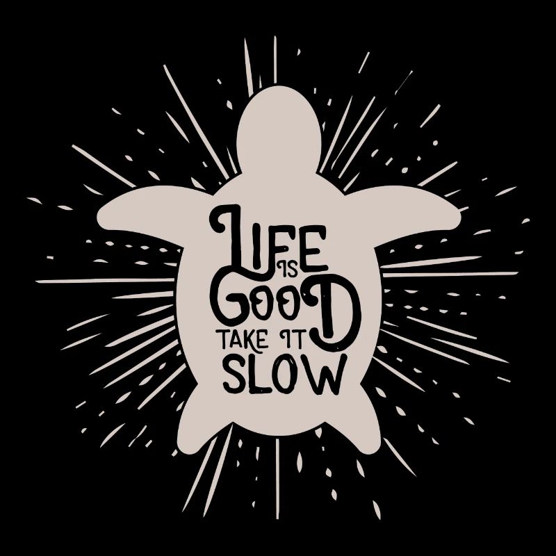 Life is Good Take it Slow Turtle Gift