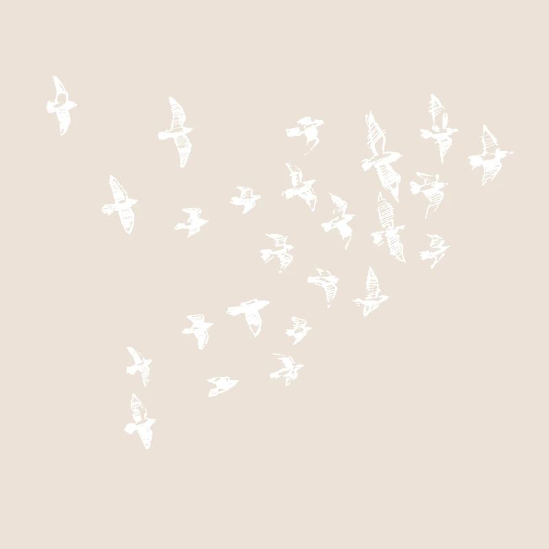 oiseaux