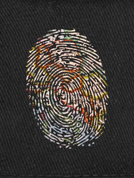 Fingerprint map