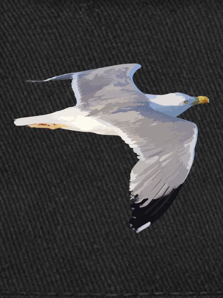 gull