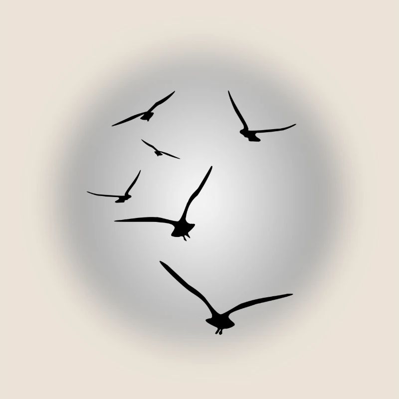 vol d'oiseaux