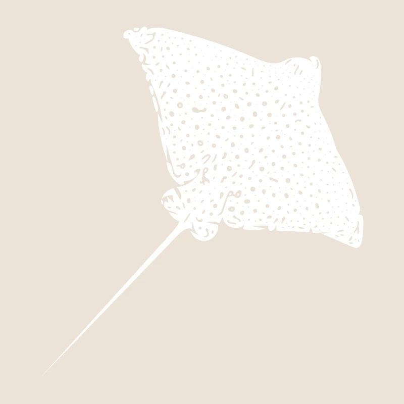 Eagle rays