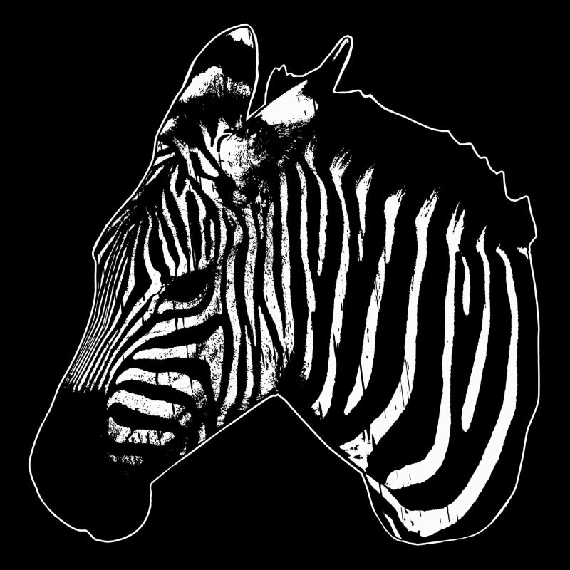 Zebra Silhouette