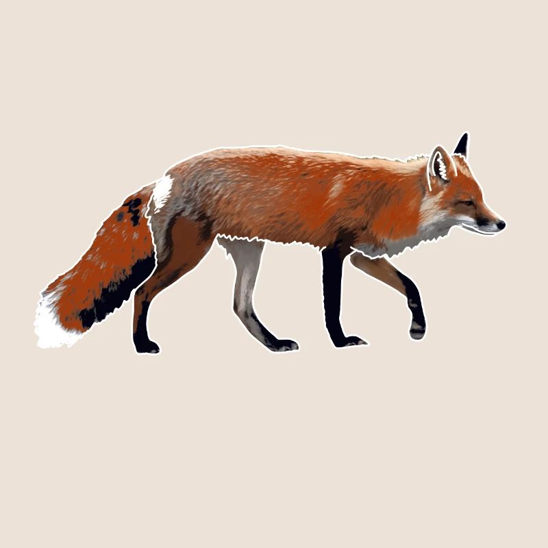 Fuchs