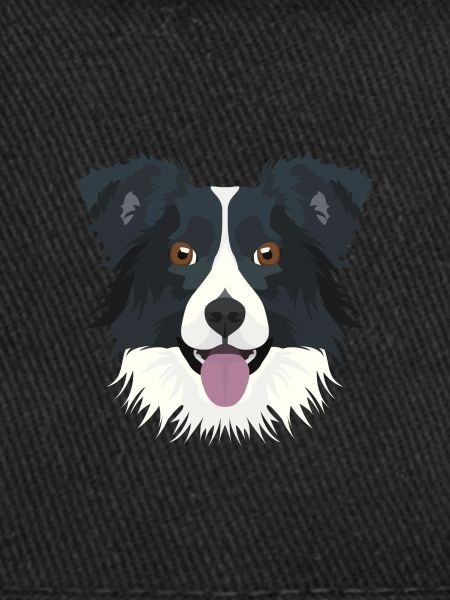 Illustration de Border Collie
