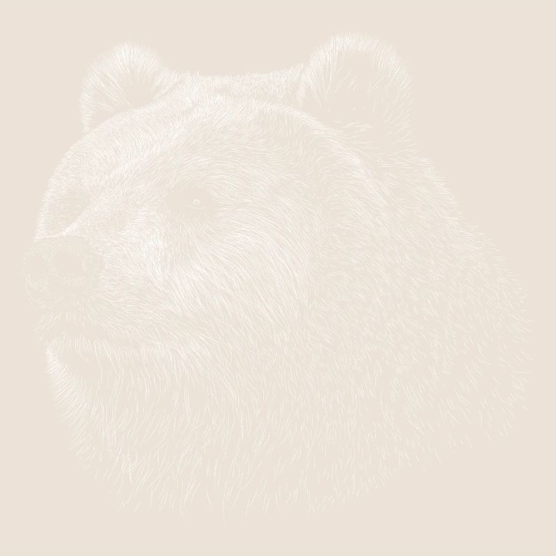 Bear Grizzly