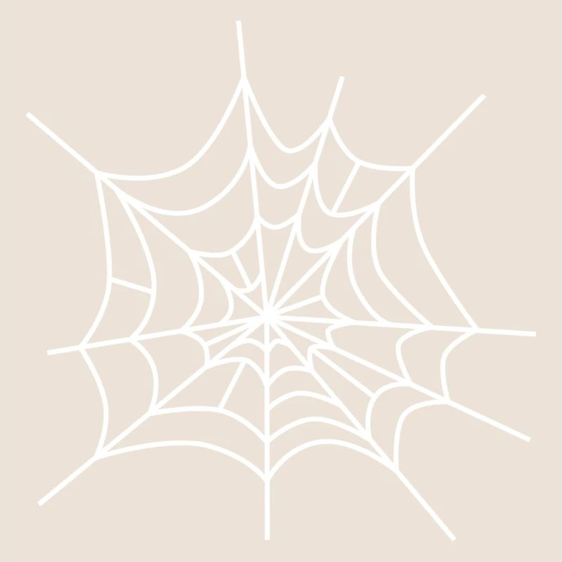 Cobweb spiderweb icon spiderweb icon