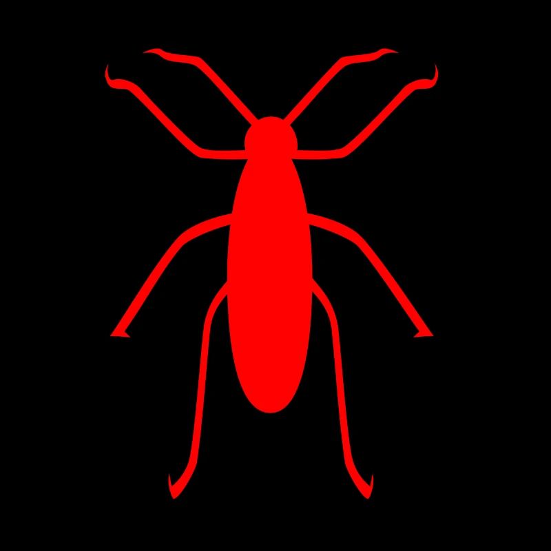 insect
