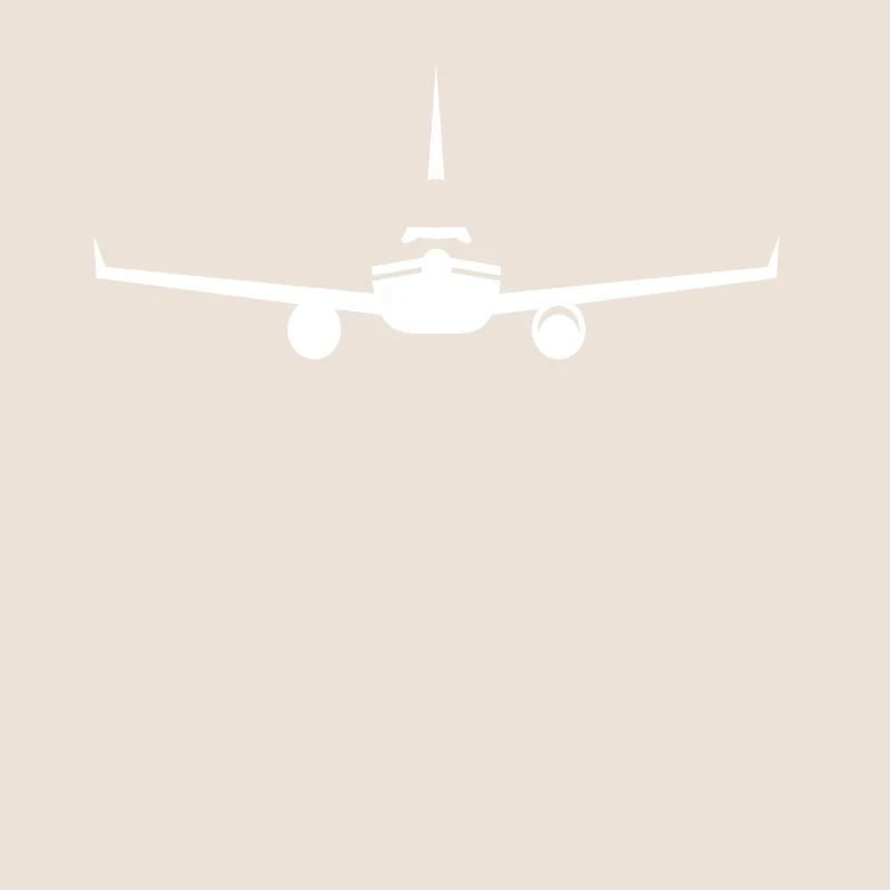 Airplane silhouette
