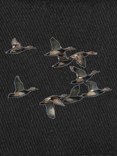 duck band flying