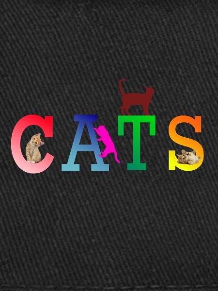 Chats