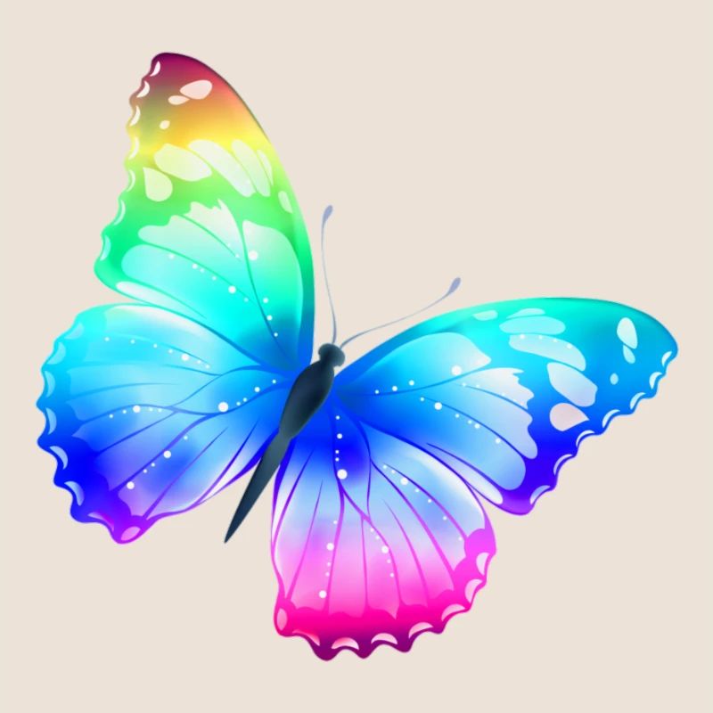beau papillon