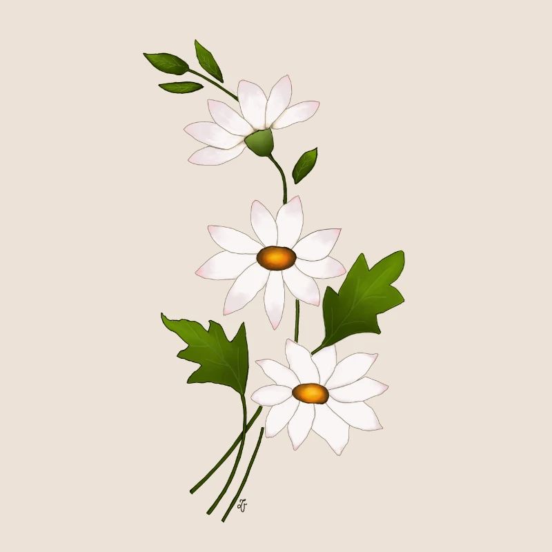 Gänseblümchenblüten