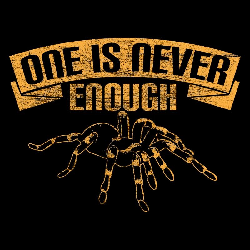 Spinne Haarig Geschenk