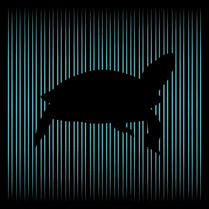 Shield toad with turtle